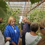 Переславль-Залесский. Фестиваль «Искусство жить на даче». Вино, мангалица и дача Коровина.