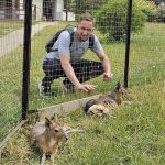 В страну цветов и птиц: садовый питомник и парк «Воробьи»