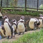 В страну цветов и птиц: садовый питомник и парк «Воробьи»