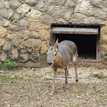 В страну цветов и птиц: садовый питомник и парк «Воробьи»