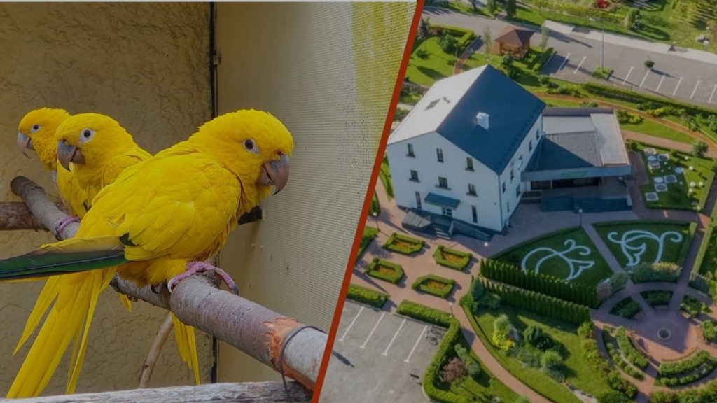 В страну цветов и птиц: садовый питомник и парк «Воробьи»